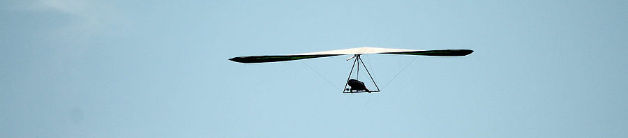 Silhouet van vliegende Titanium CX